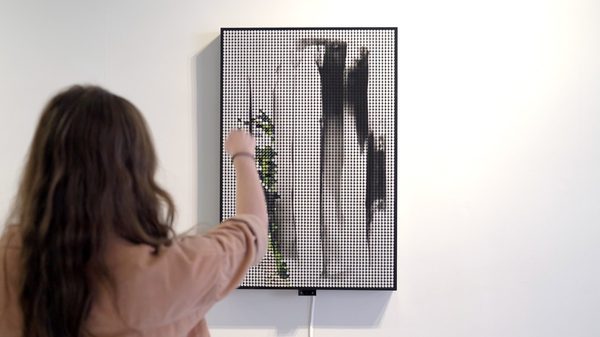 Vanishing Forest — data artwork rendering live deforestation data